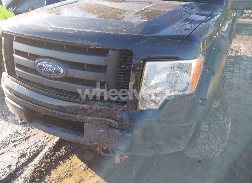 Photo 6 of 2011 Ford F-150 STX (VIN 1FTMF1EF1BFD24786)