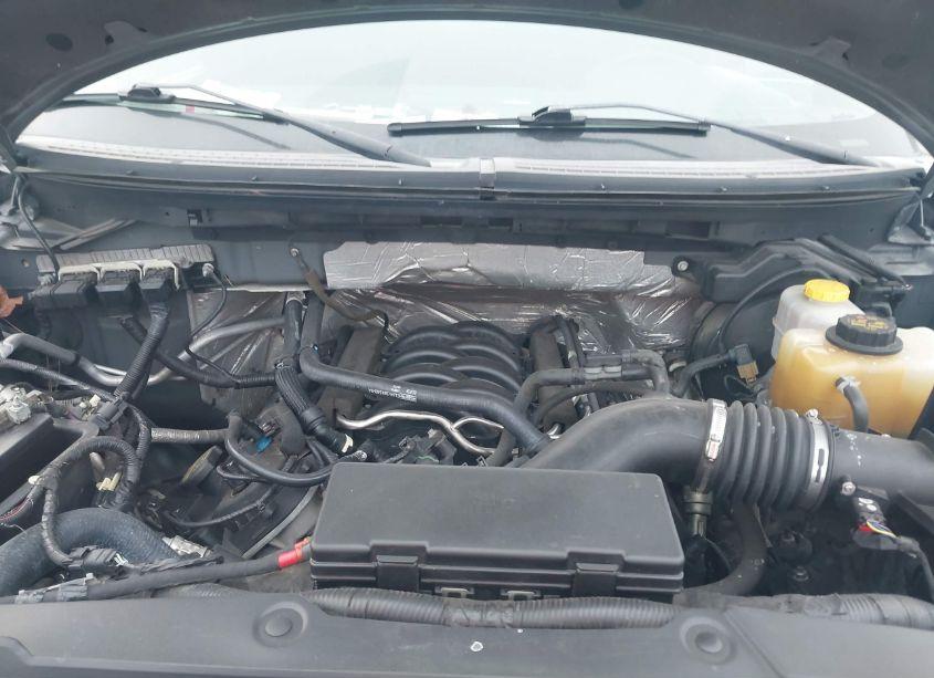 Photo 10 of 2014 Ford F-150 STX (VIN 1FTMF1EF1EFC84701)