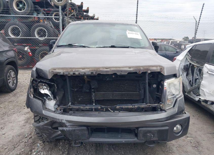 Photo 12 of 2014 Ford F-150 STX (VIN 1FTMF1EF1EFC84701)