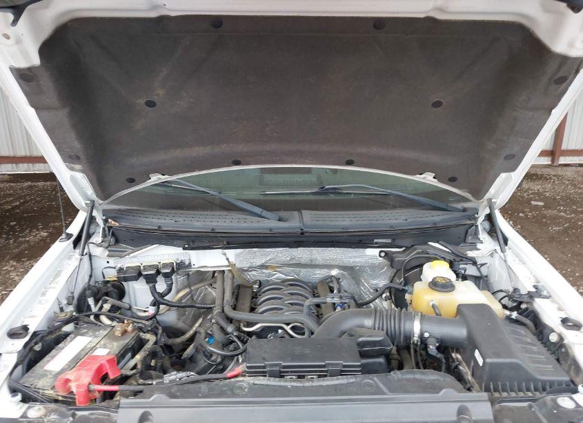 Photo 10 of 2014 Ford F-150 XL (VIN 1FTMF1EF2EKG07743)