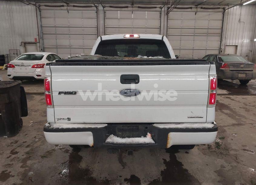 Photo 16 of 2013 Ford F-150 STX (VIN 1FTMF1EF4DFD41360)