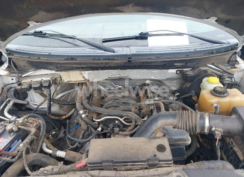 Photo 10 of 2014 Ford F-150 STX (VIN 1FTMF1EF4EFB37739)