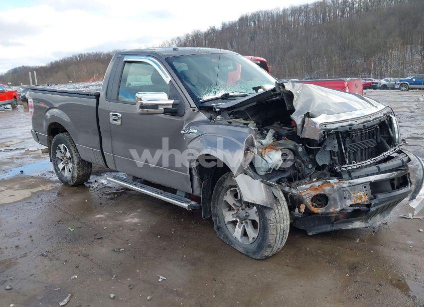 2013 Ford F-150 STX (VIN 1FTMF1EF9DFB96896) main photo