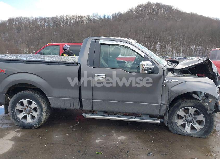 Photo 14 of 2013 Ford F-150 STX (VIN 1FTMF1EF9DFB96896)
