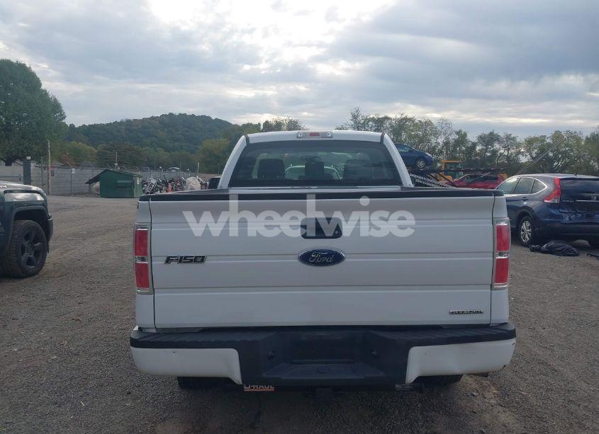 Photo 16 of 2014 Ford F-150 STX (VIN 1FTMF1EFXEKG41493)