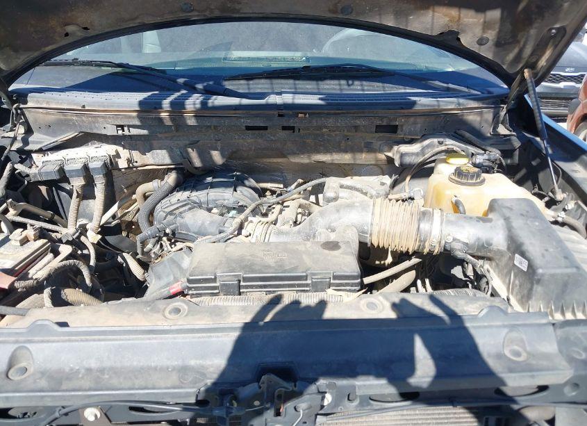 Photo 10 of 2014 Ford F-150 XL (VIN 1FTMF1EM0EFC61201)