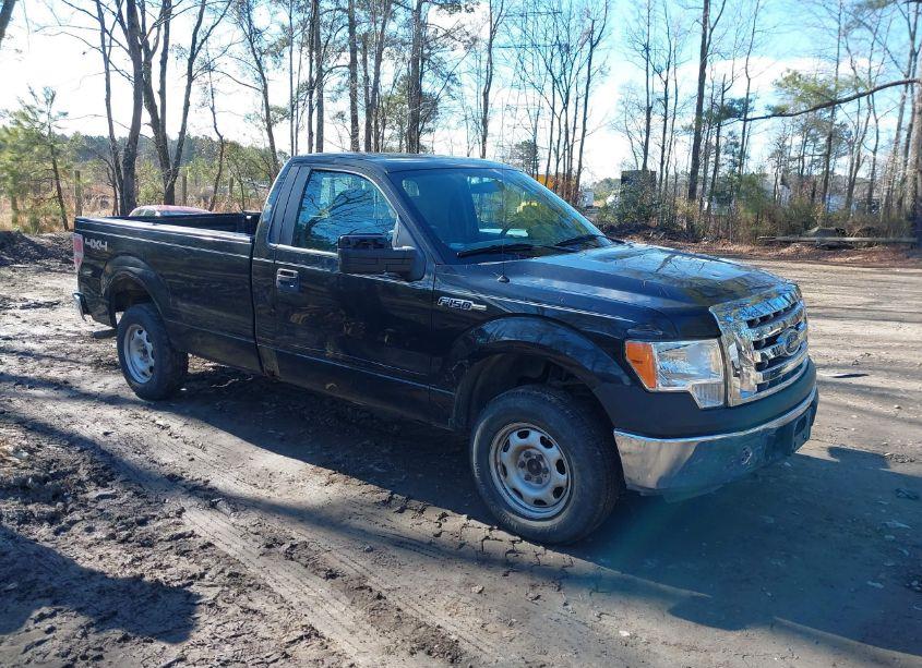 2012 Ford F-150 XL (VIN 1FTMF1EM6CKE30027) main photo