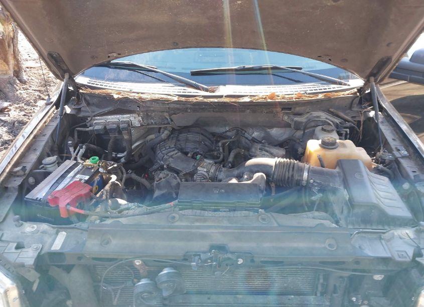 Photo 10 of 2012 Ford F-150 XL (VIN 1FTMF1EM6CKE30027)