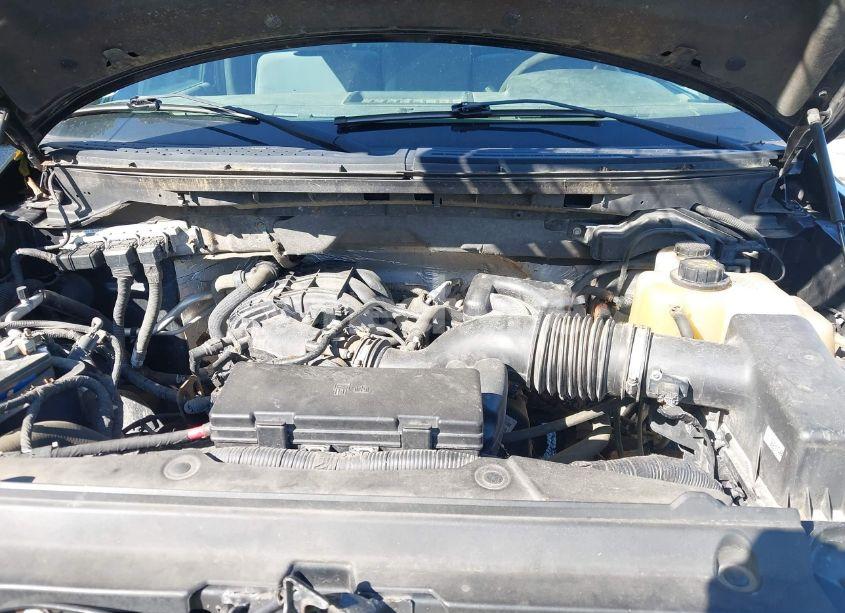 Photo 10 of 2013 Ford F-150 XL (VIN 1FTMF1EMXDKD86051)