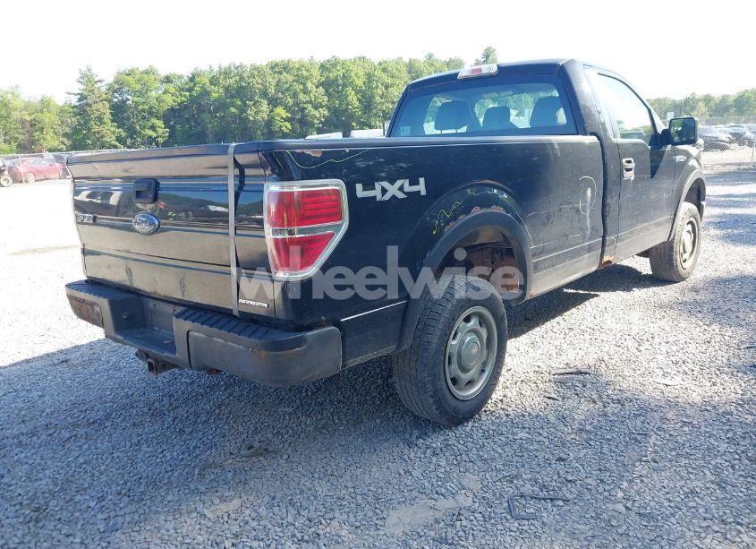 Photo 8 of 2013 Ford F-150 XL (VIN 1FTMF1EMXDKD86051)