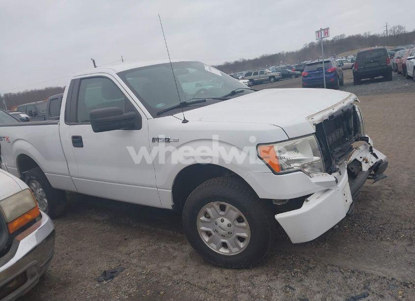 Photo 13 of 2013 Ford F-150 STX (VIN 1FTMF1EMXDKG20124)