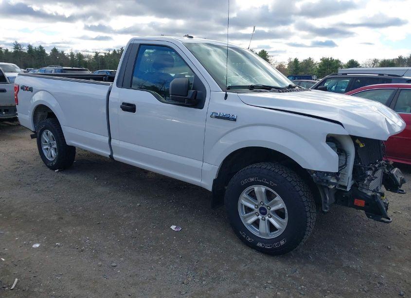 2019 Ford F-150 XL (VIN 1FTMF1EP4KKD07111) main photo