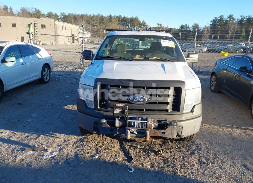 Photo 12 of 2010 Ford F-150 STX/XL/XLT (VIN 1FTMF1EW0AKB71825)