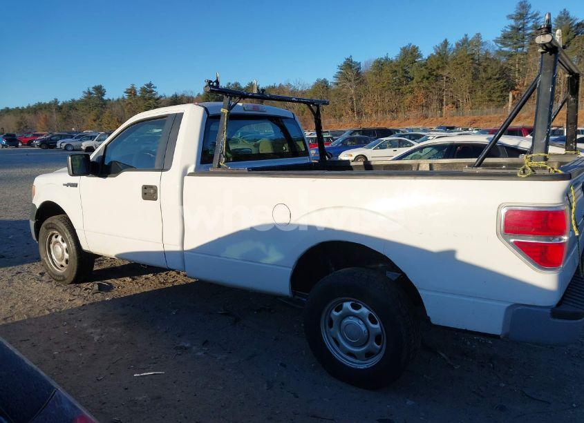 Photo 14 of 2010 Ford F-150 STX/XL/XLT (VIN 1FTMF1EW0AKB71825)