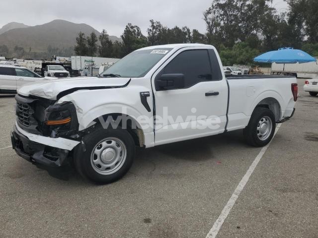 Photo 11 of 2024 FORD F150 XL N/A (VIN 1FTMF1K59RKF44075)