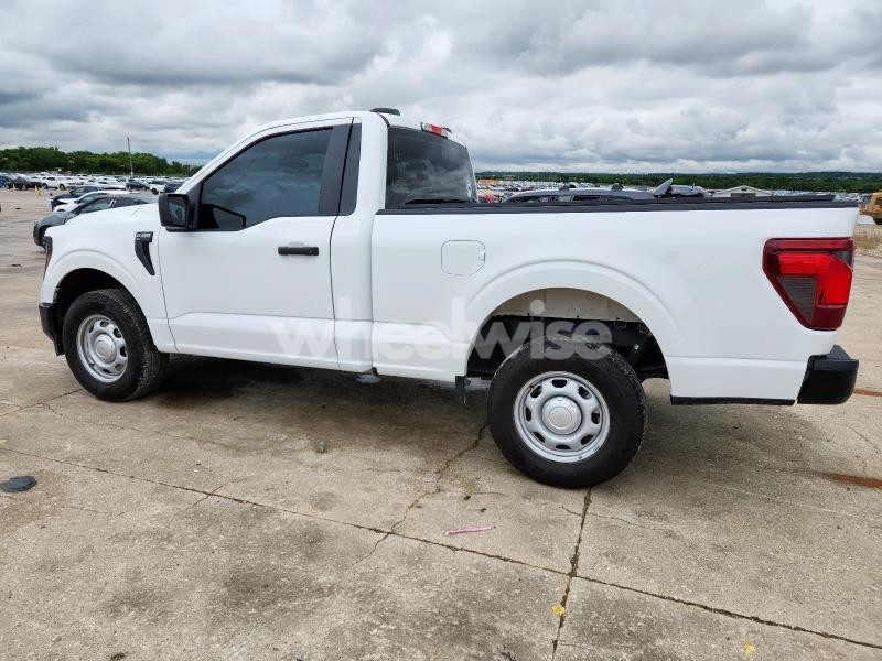 Photo 11 of 2024 FORD F150 XL N/A (VIN 1FTMF1L55RKD04729)