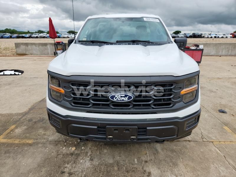 Photo 7 of 2024 FORD F150 XL N/A (VIN 1FTMF1L55RKD04729)