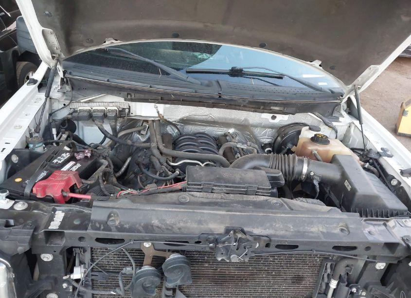 Photo 10 of 2013 Ford F-150 XL (VIN 1FTNF1CF9DKE25110)