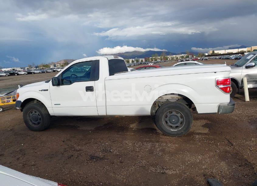 Photo 15 of 2013 Ford F-150 XL (VIN 1FTNF1CT0DKE46479)