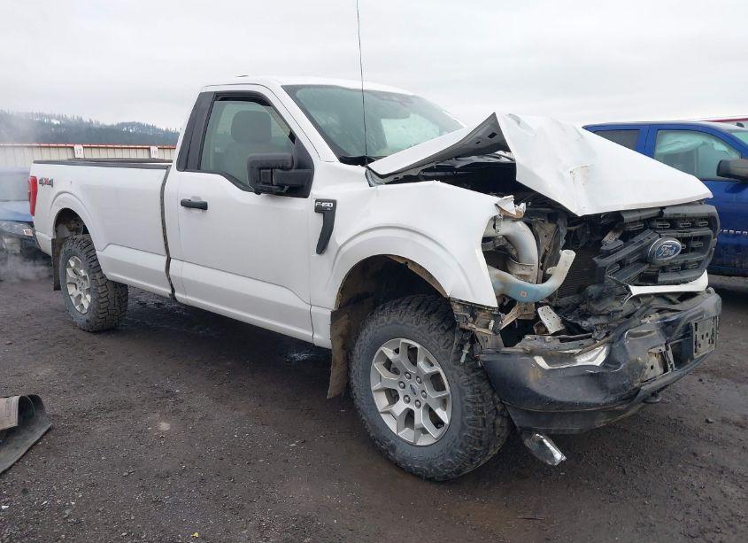 2021 Ford F-150 XL (VIN 1FTNF1E82MKD70725) main photo