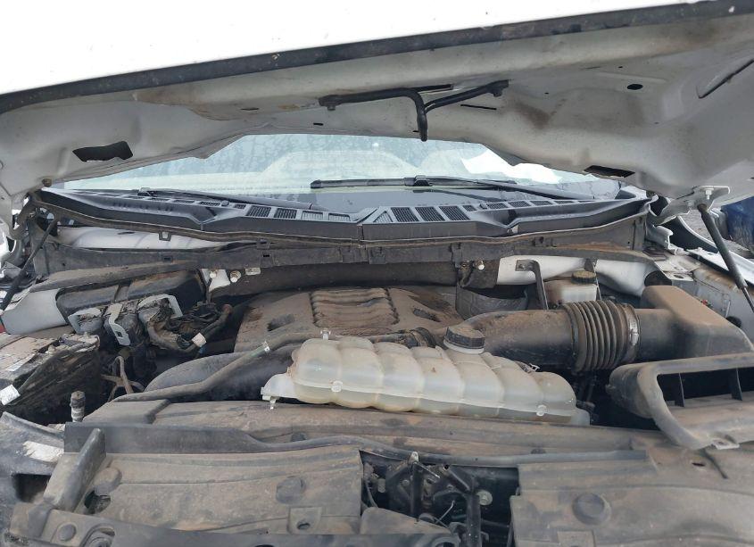 Photo 10 of 2021 Ford F-150 XL (VIN 1FTNF1E82MKD70725)