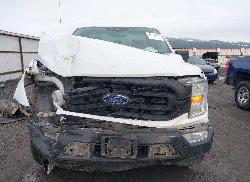 Photo 13 of 2021 Ford F-150 XL (VIN 1FTNF1E82MKD70725)