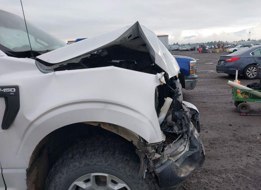 Photo 18 of 2021 Ford F-150 XL (VIN 1FTNF1E82MKD70725)