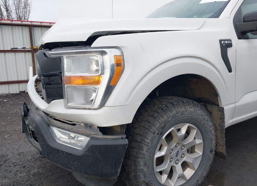 Photo 20 of 2021 Ford F-150 XL (VIN 1FTNF1E82MKD70725)