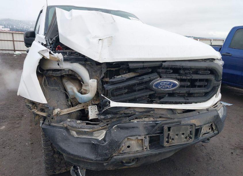 Photo 6 of 2021 Ford F-150 XL (VIN 1FTNF1E82MKD70725)