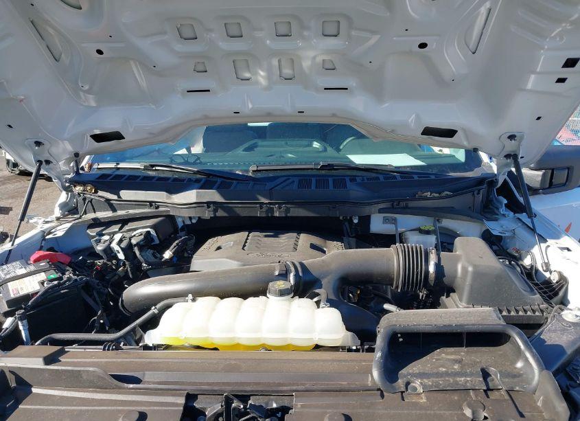 Photo 10 of 2023 Ford F-150 XL (VIN 1FTNF1E83PKE19046)