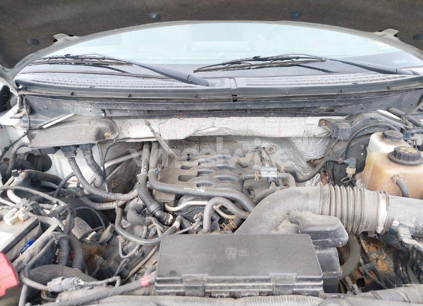 Photo 10 of 2011 Ford F-150 XLT (VIN 1FTNF1EF1BKD82554)