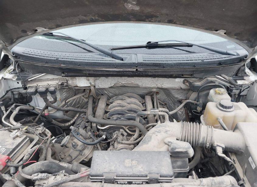 Photo 10 of 2014 Ford F-150 XL (VIN 1FTNF1EF7EKG51242)