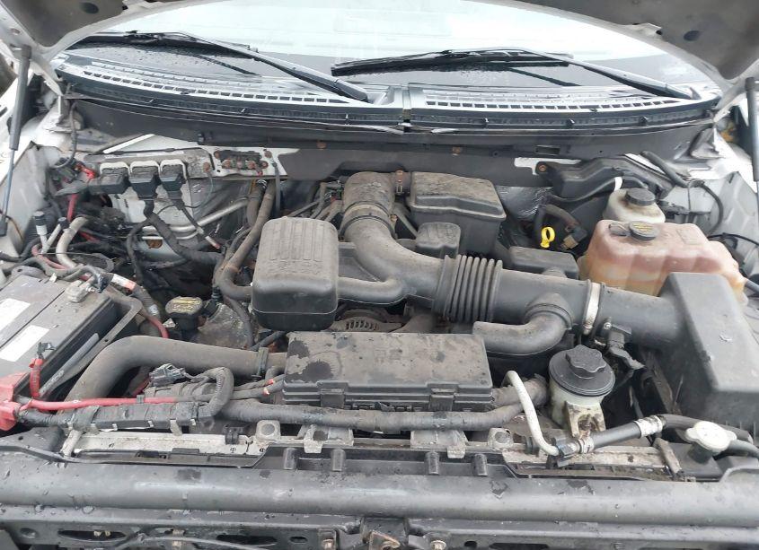 Photo 10 of 2010 Ford F-150 XL/XLT (VIN 1FTPF1EV6AKE77965)