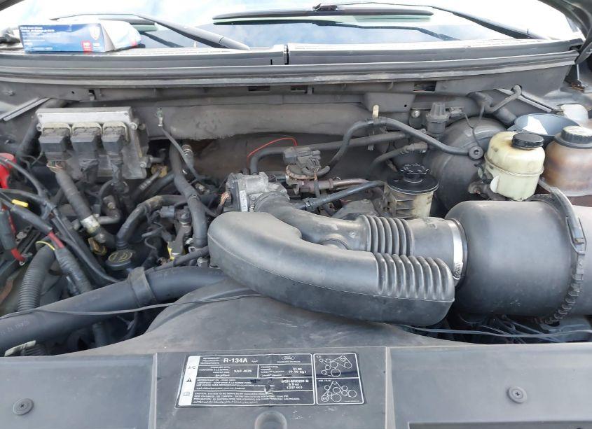 Photo 10 of 2005 Ford F-150 LARIAT/XLT (VIN 1FTPW12515KD35677)