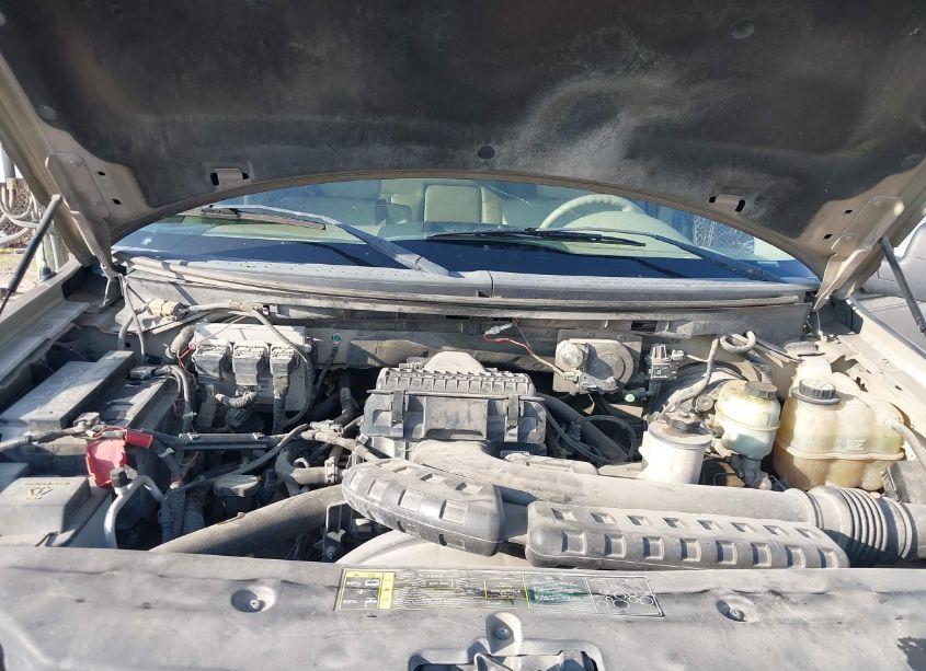 Photo 10 of 2004 Ford F-150 LARIAT/XLT (VIN 1FTPW12554KD68146)