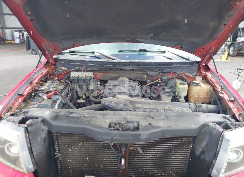 Photo 10 of 2005 Ford F-150 LARIAT/XLT (VIN 1FTPW12595KD34244)