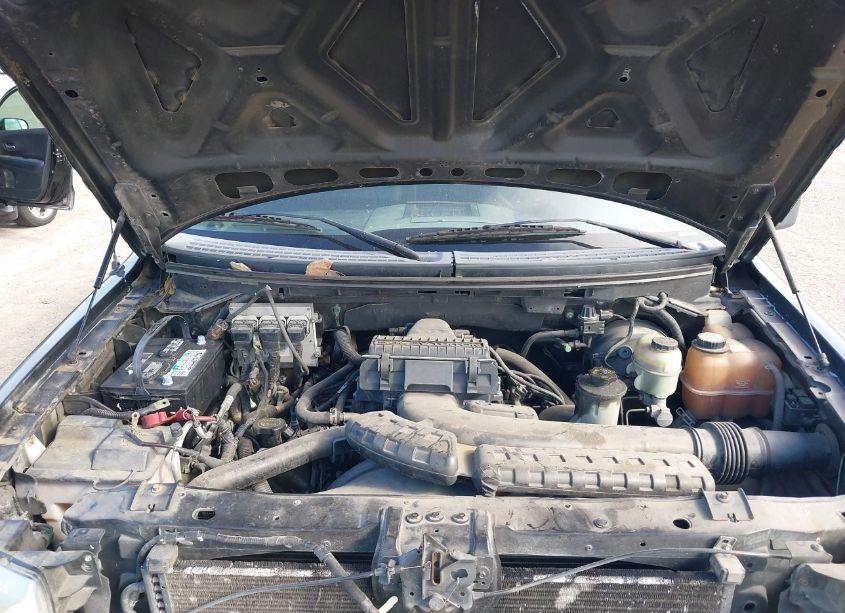 Photo 10 of 2005 Ford F-150 LARIAT/XLT (VIN 1FTPW12595KE96925)