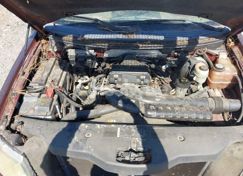 Photo 10 of 2006 Ford F-150 LARIAT/XLT (VIN 1FTPW12V16KE00237)