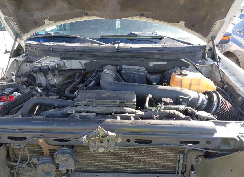 Photo 10 of 2009 Ford F-150 KING RANCH/LARIAT/PLATINUM/XL/XLT (VIN 1FTPW12V29KB67733)