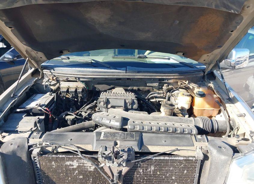 Photo 10 of 2008 Ford F-150 60TH ANNIVERSARY/FX2/KING RANCH/LARIAT/XLT (VIN 1FTPW12V38FC09852)