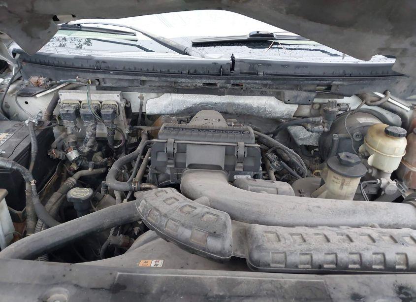 Photo 10 of 2007 Ford F-150 LARIAT/XLT (VIN 1FTPW12V87KB03595)