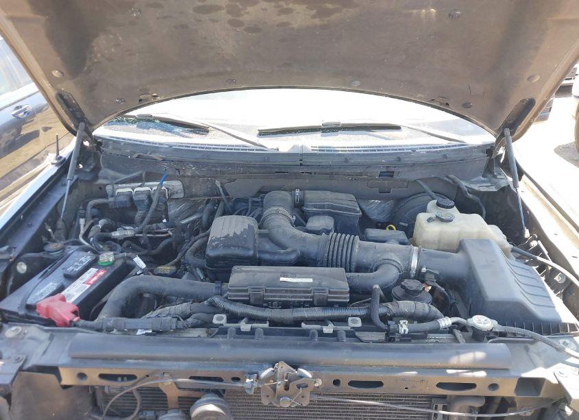 Photo 10 of 2009 Ford F-150 KING RANCH/LARIAT/PLATINUM/XL/XLT (VIN 1FTPW12V89FB47155)