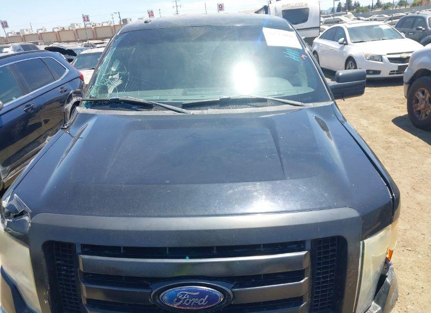 Photo 13 of 2009 Ford F-150 KING RANCH/LARIAT/PLATINUM/XL/XLT (VIN 1FTPW12V89FB47155)