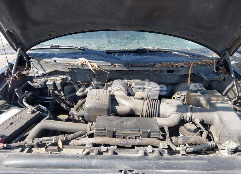 Photo 10 of 2009 Ford F-150 KING RANCH/LARIAT/PLATINUM/XL/XLT (VIN 1FTPW12VX9FA84933)