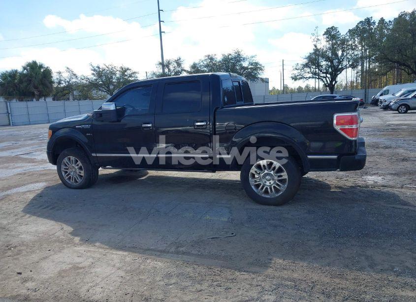 Photo 14 of 2009 Ford F-150 KING RANCH/LARIAT/PLATINUM/XL/XLT (VIN 1FTPW12VX9FA84933)
