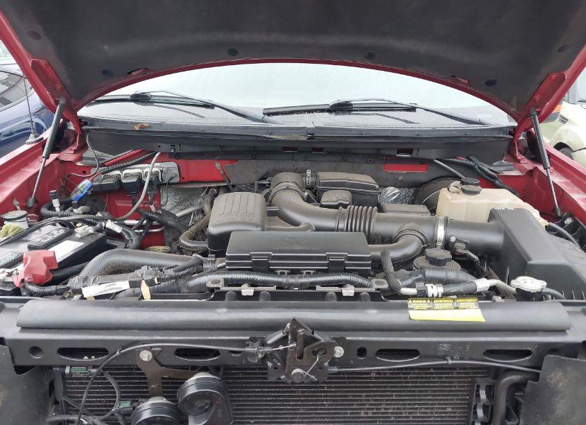 Photo 10 of 2009 Ford F-150 KING RANCH/LARIAT/PLATINUM/XL/XLT (VIN 1FTPW12VX9KB43776)