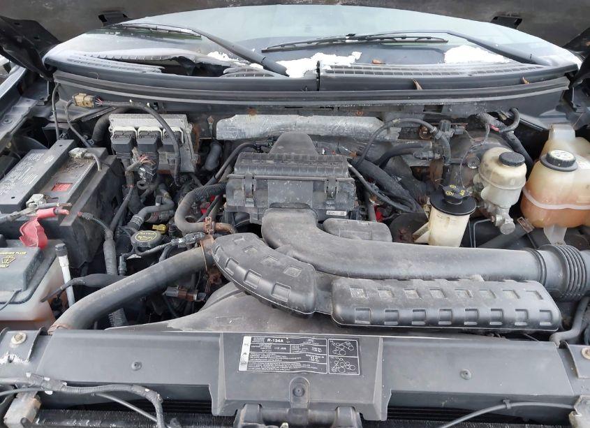 Photo 10 of 2008 Ford F-150 60TH ANNIVERSARY/FX4/KING RANCH/LARIAT/LIMITED/XLT (VIN 1FTPW14508FA40788)