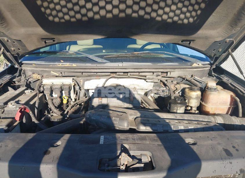 Photo 10 of 2006 Ford F-150 FX4/LARIAT/XLT (VIN 1FTPW14516FB55641)