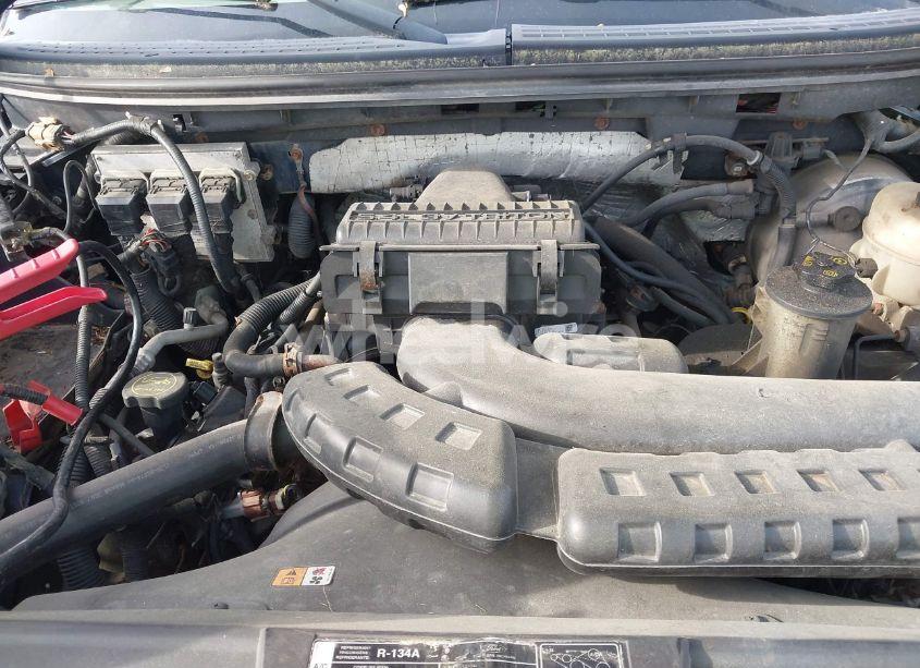 Photo 10 of 2008 Ford F-150 60TH ANNIVERSARY/FX4/KING RANCH/LARIAT/LIMITED/XLT (VIN 1FTPW14518FA76358)