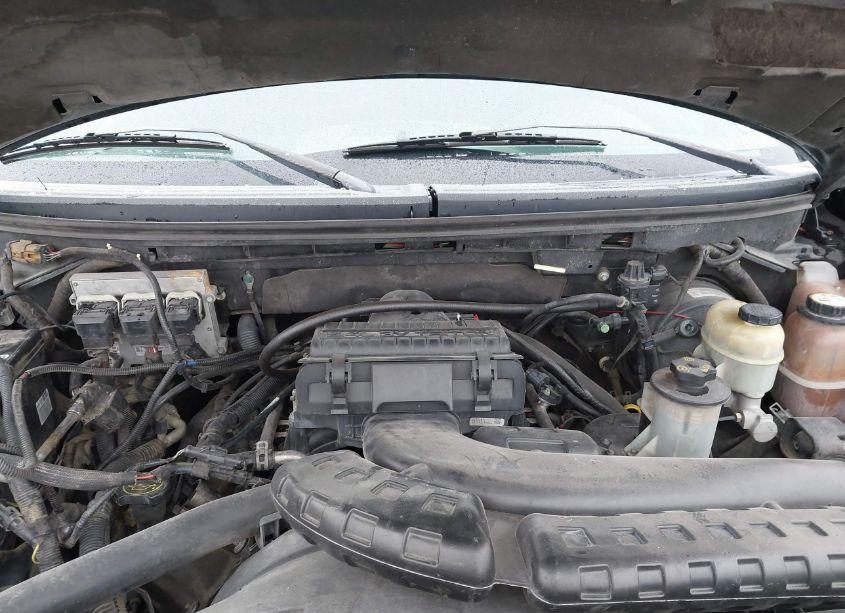 Photo 10 of 2005 Ford F-150 FX4/LARIAT/XLT (VIN 1FTPW14525FB55839)